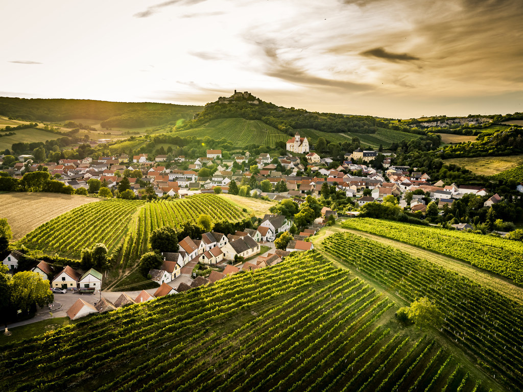 Weinerlebnis Falkenstein