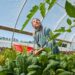 Care-Farming in Niederösterreich