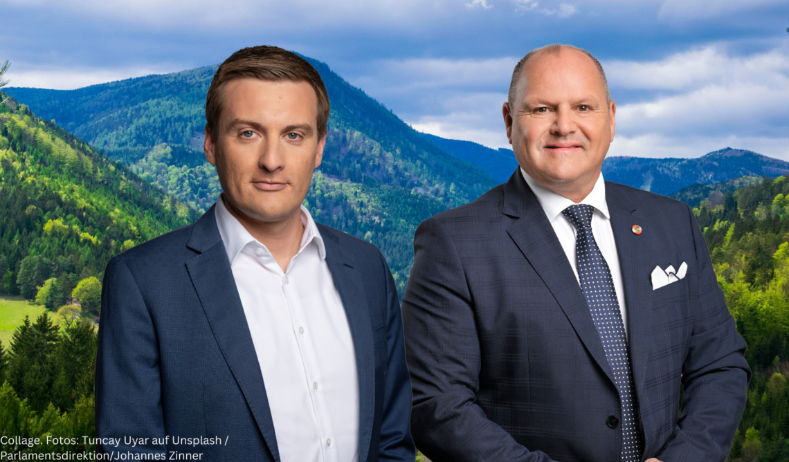 Antrag Energiekosten Begrenzung SPÖ im Nationalrat