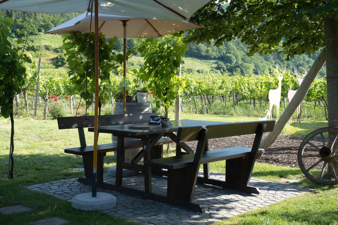 Heurigenbank aus Holz im Freien. Im Hintergrund grüne Weinreben.