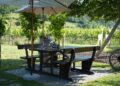 Heurigenbank aus Holz im Freien. Im Hintergrund grüne Weinreben.