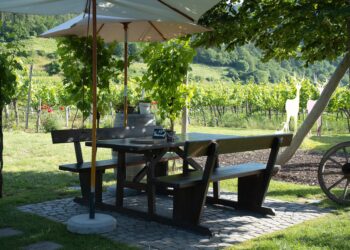 Heurigenbank aus Holz im Freien. Im Hintergrund grüne Weinreben.