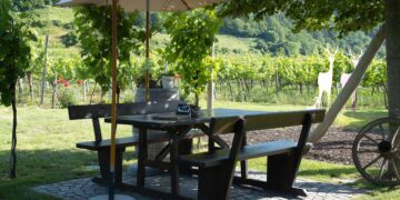 Heurigenbank aus Holz im Freien. Im Hintergrund grüne Weinreben.