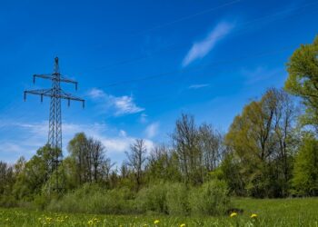 EVN-Vorstand soll 600.000 Euro erhalten – die Energiekrise zahlt die Bevölkerung
