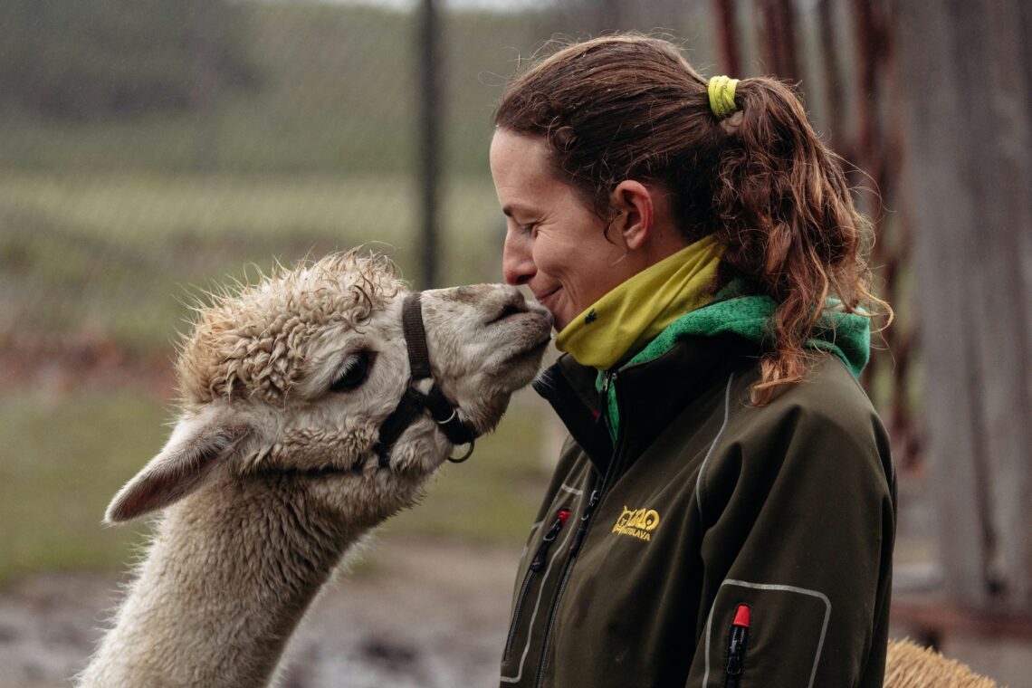 Sybolbild: Frau kommt einem Alpaka im Tierpark näher.