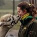 Sybolbild: Frau kommt einem Alpaka im Tierpark näher.
