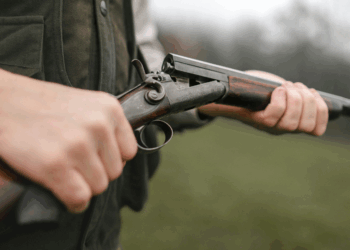 Waffen in Niederösterreich