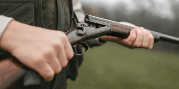 Waffen in Niederösterreich