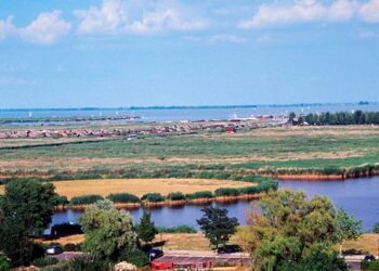 Blick auf den Neusiedlersee im Burgenland