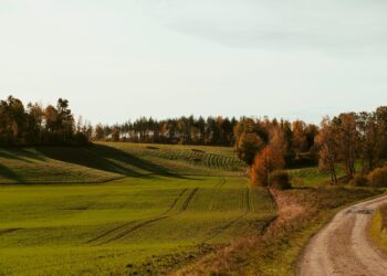 Symbolbild für Dialektwörter. Das Bild zeigt einen Feldweg in ländlicher Umgebung.