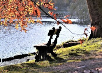 Die schönsten Ausflugsziele im Herbst in Niederösterreich
