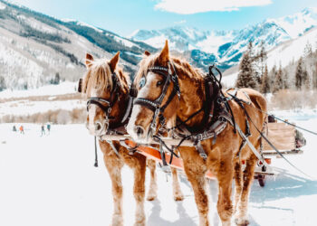 So vielfältig ist der Winter in Niederösterreich: 5 Tipps für besondere Erlebnisse