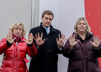 Vertreter:innen der SPÖ NÖ vor einer Fahne für die 16 Tage gegen Gewalt