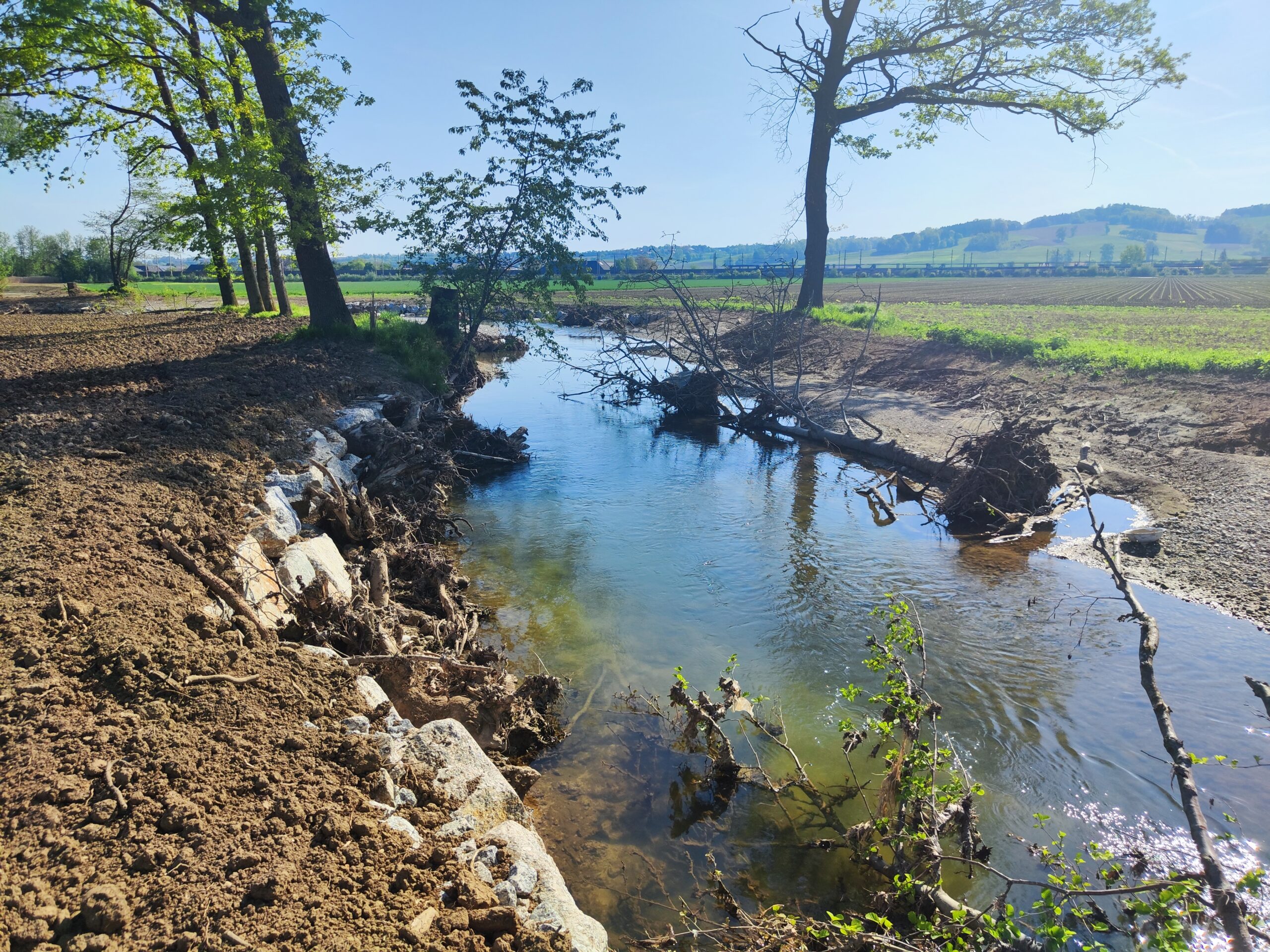 Das Bild zeigt den renaturierten Erlabach in St. Valentin in Niederösterreich.
