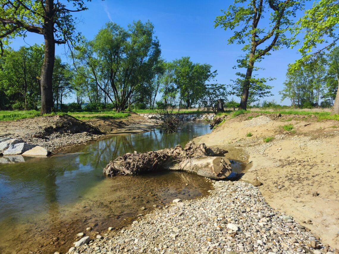 Das Foto zeigt eine aktuelle Aufnahme des Erlabachs in St. Valentin nach den Renaturierungsmaßnahmen.