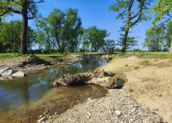 Das Foto zeigt eine aktuelle Aufnahme des Erlabachs in St. Valentin nach den Renaturierungsmaßnahmen.