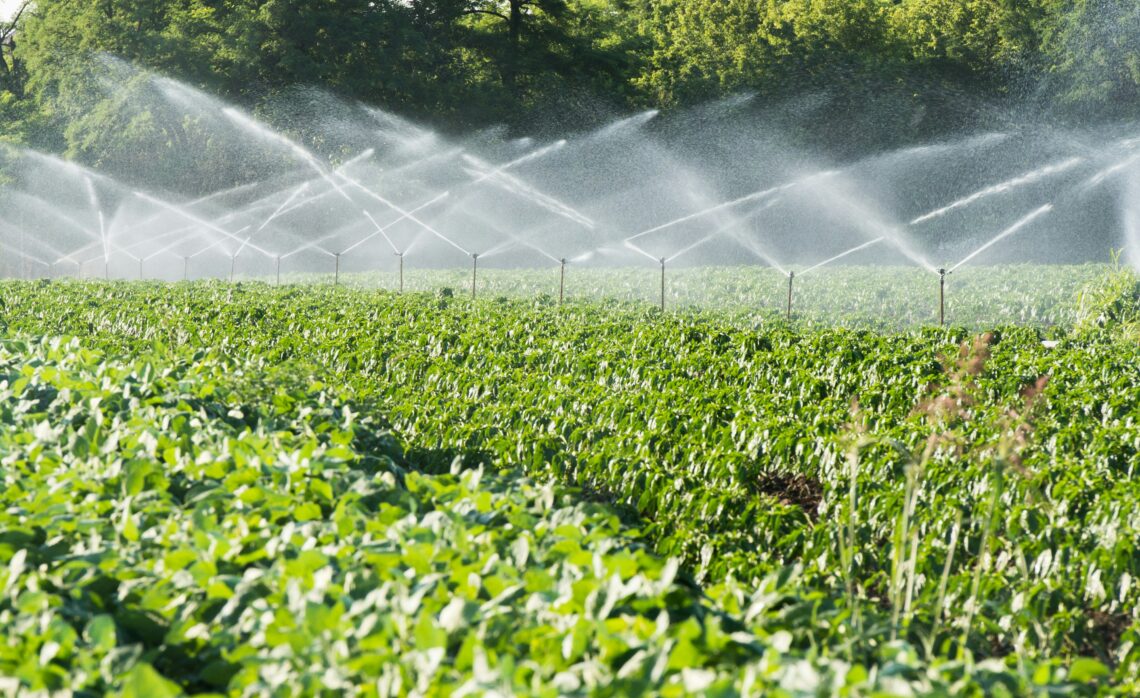 Drei NÖ-Unternehmen entnehmen so viel Grundwasser wie 1,4 Millionen Menschen