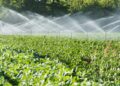 Drei NÖ-Unternehmen entnehmen so viel Grundwasser wie 1,4 Millionen Menschen