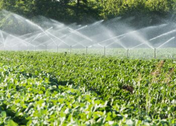 Drei NÖ-Unternehmen entnehmen so viel Grundwasser wie 1,4 Millionen Menschen