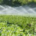 Drei NÖ-Unternehmen entnehmen so viel Grundwasser wie 1,4 Millionen Menschen