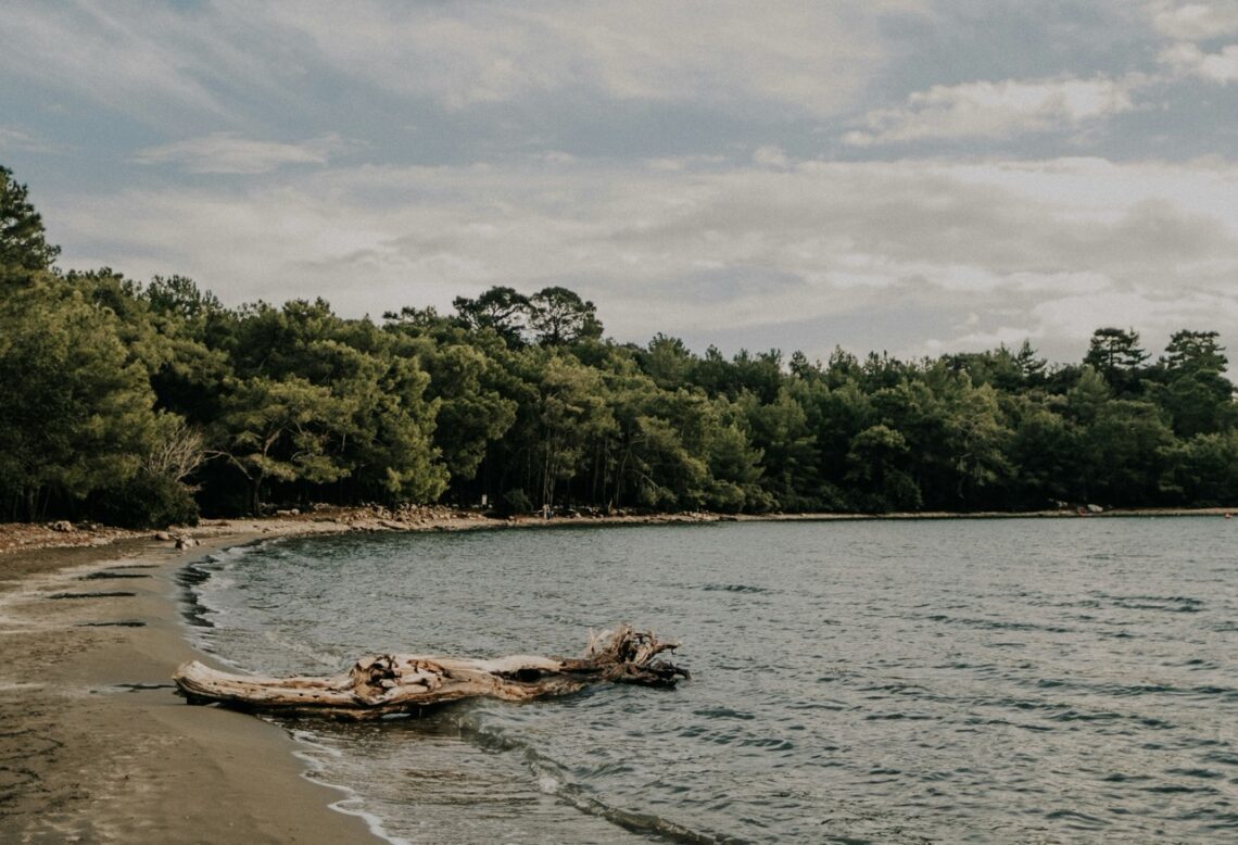 So wie diese Sandbucht oder so ähnlich hat Niederösterreich vor 20 Millionen Jahren ausgesehen. Bild: Unsplash/Onur Kaya
