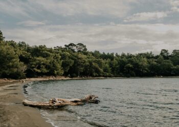 So wie diese Sandbucht oder so ähnlich hat Niederösterreich vor 20 Millionen Jahren ausgesehen. Bild: Unsplash/Onur Kaya