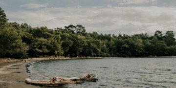 So wie diese Sandbucht oder so ähnlich hat Niederösterreich vor 20 Millionen Jahren ausgesehen. Bild: Unsplash/Onur Kaya